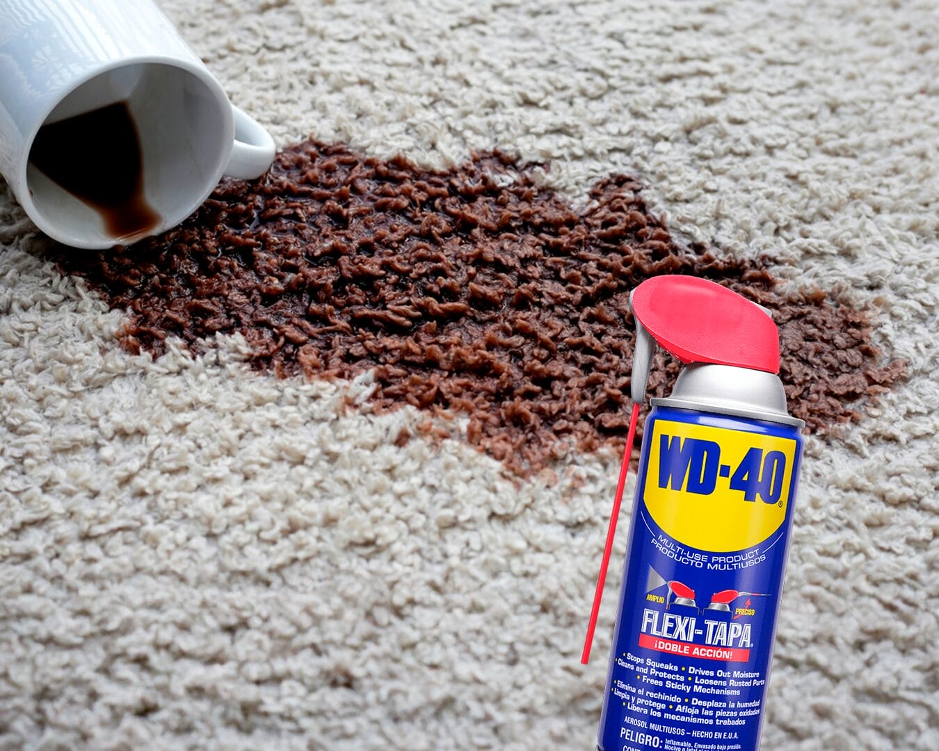 quitar manchas alfombra