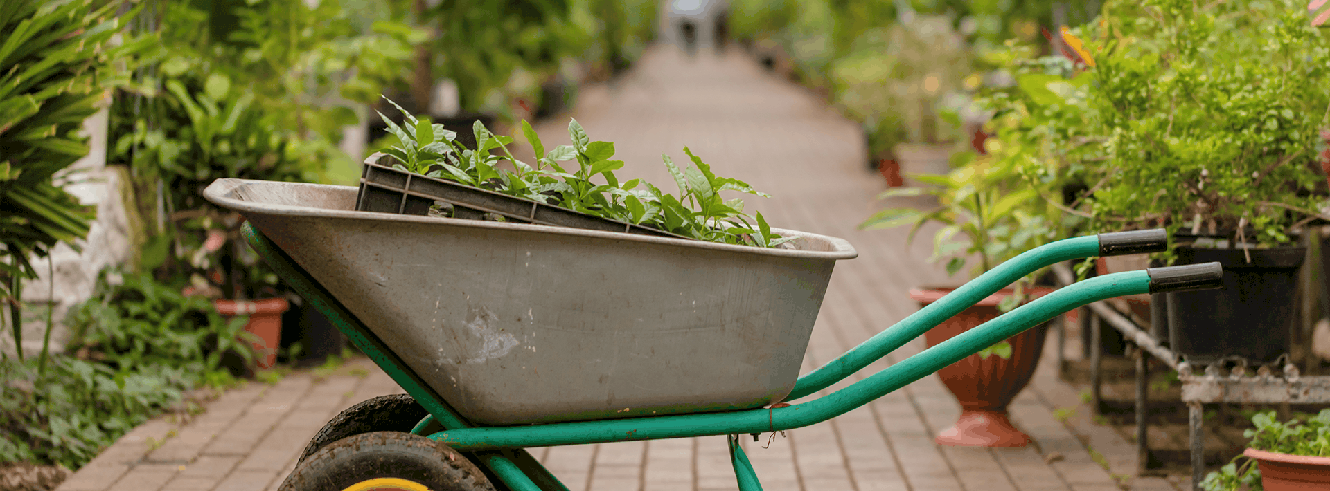 wd40 blog carretilla