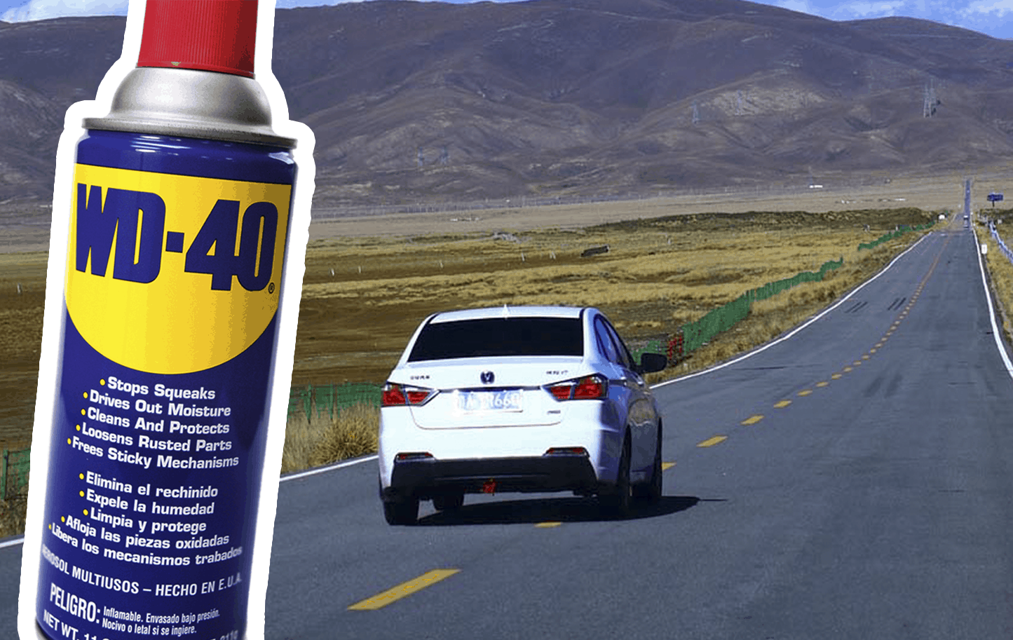 wd40 automovil