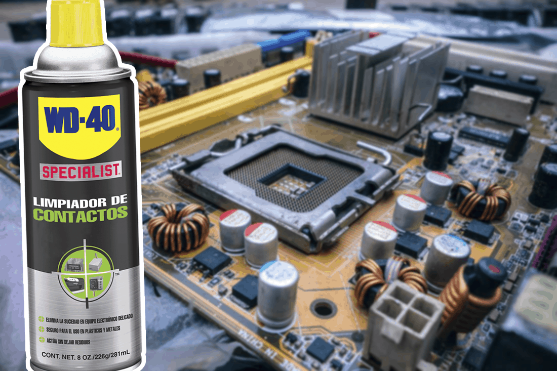 specialist contactos